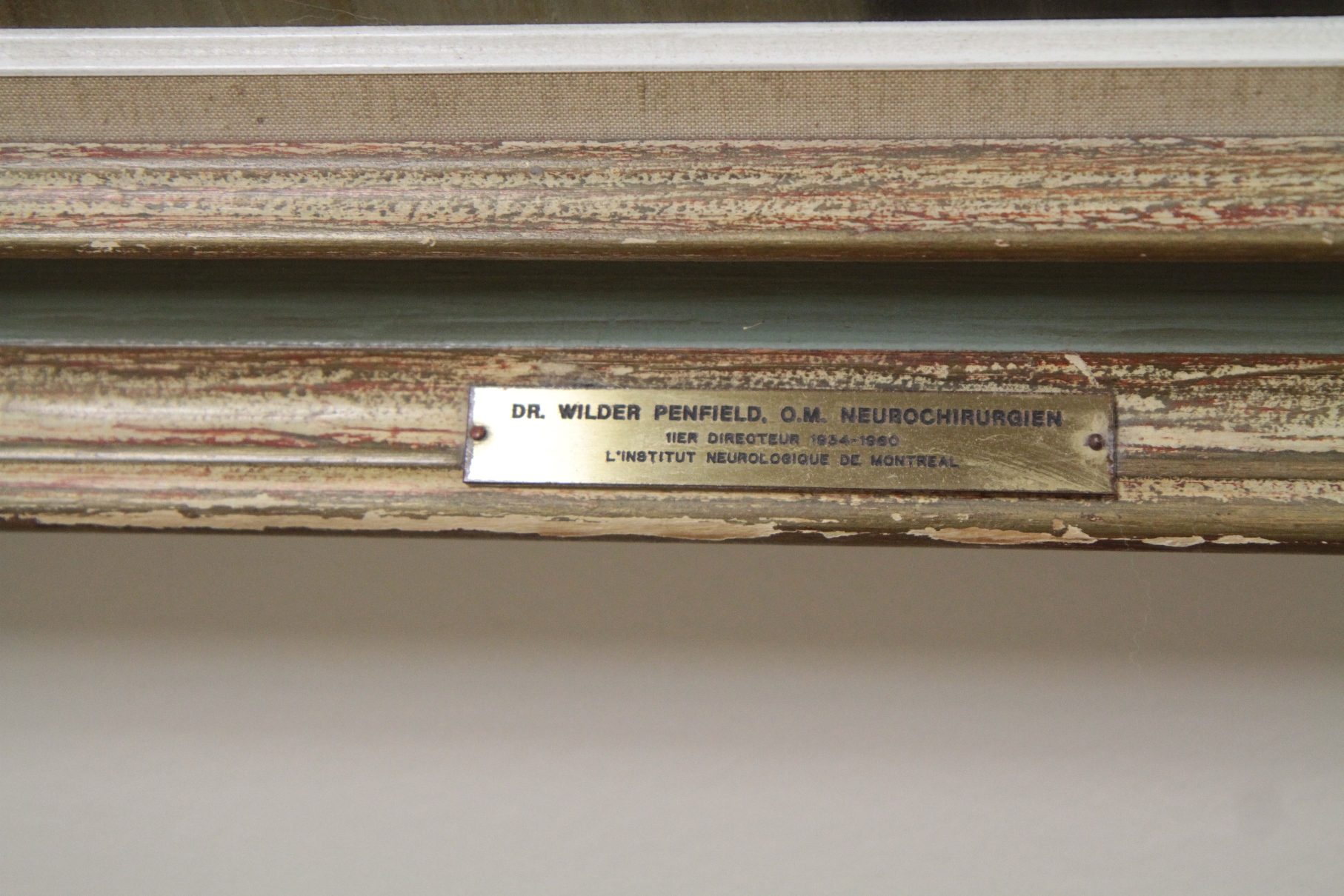 “Wilder Penfield” by Lynn Buckham, Montreal Neurological Institute, McGill University - 03.JPG
